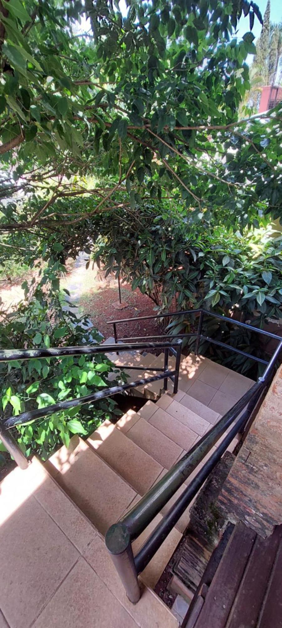 Hospedaje Los Vencejos Porto Iguaçu Exterior foto